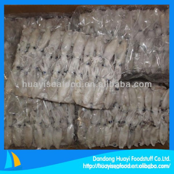 frozen whole round loligo squid